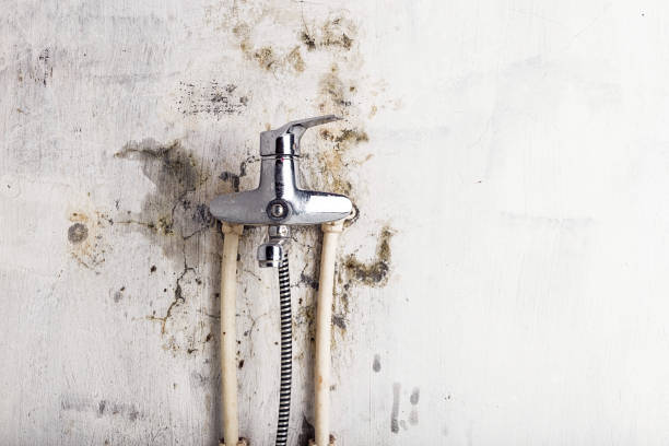 Trusted Rothschild, WI Mold Removal Experts