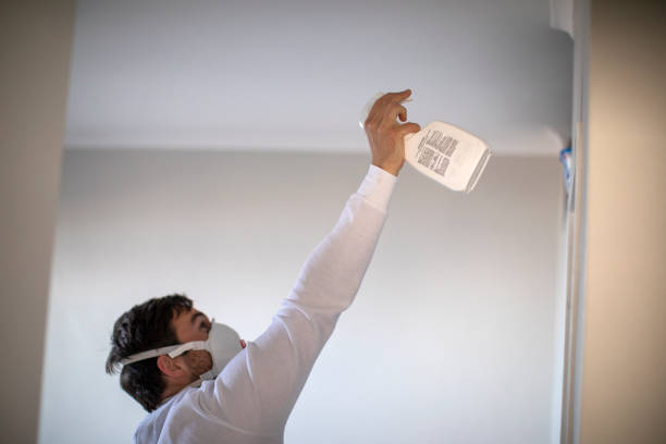 Best Mold Testing  in Rothschild, WI