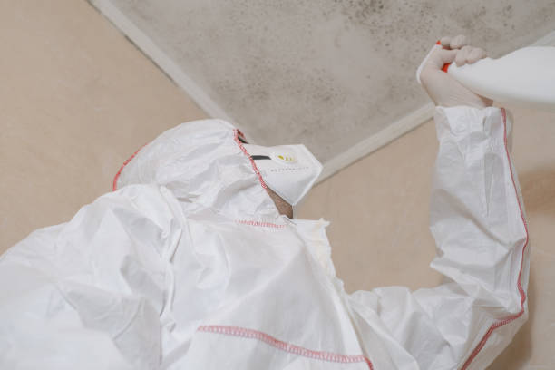 Best Emergency Mold Removal  in Rothschild, WI