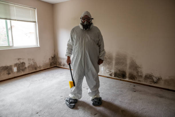 Home Mold Removal in Rothschild, WI
